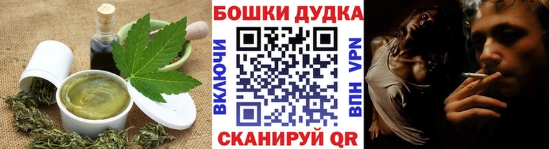 OMG ONION  Луга  Canna-Cookies конопля 