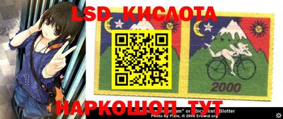 шишки Балахна