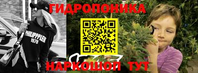 PSILOCYBIN Ирбит