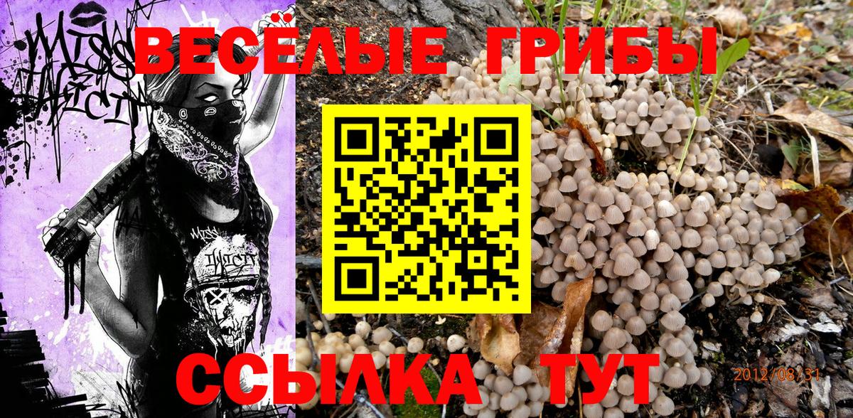 Псилоцибиновые грибы мухоморы  наркотики  Луга  Вход с VPN 