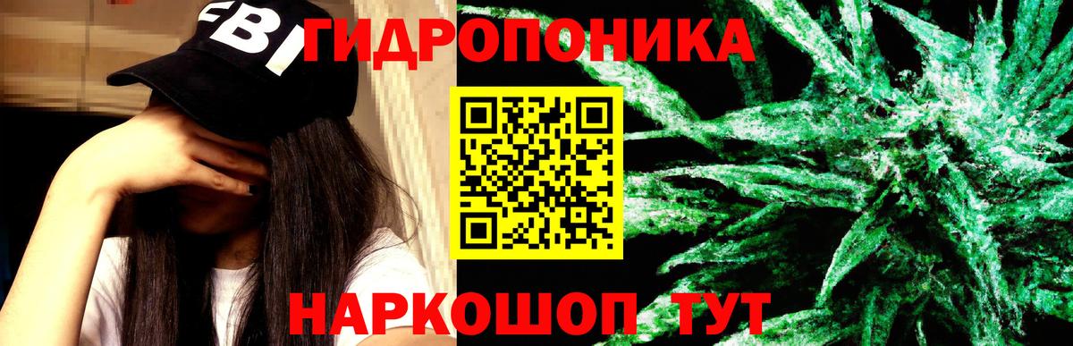 МАРИХУАНА AK-47  Бошки марихуана AK-47  Конопля сатива  Канабис марихуана  Луга 